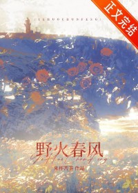 野火春风[破镜重圆]